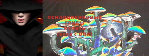 Альфа ПВП Володарск